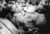 1956_hungarians_stalin_head[1]_tiny